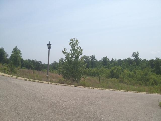 2017 Cleveland Farms Parkway #22, Odenville, AL 35120 