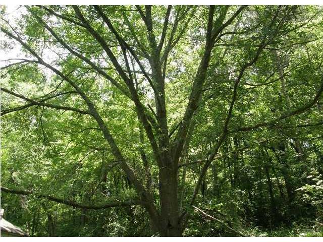 4580 Silver Lakes Drive, Pinson, AL 35126 