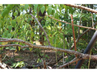 0 Lakeland Hills Dr Lot #16, Talladega, AL 35160 