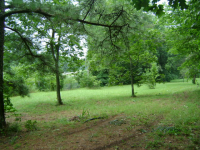 12363 HWY 231 N, Union Grove, AL 35175 