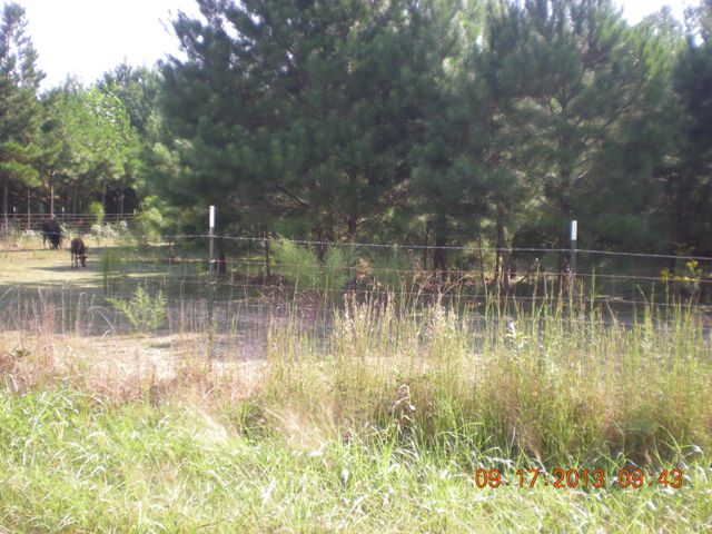 722 GREENBRIAR COVE ROAD, Union Grove, AL 35175 