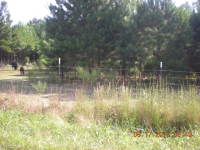 722 GREENBRIAR COVE ROAD, Union Grove, AL 35175 