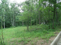 128 LYNNS DAM ROAD, Union Grove, AL 35175 