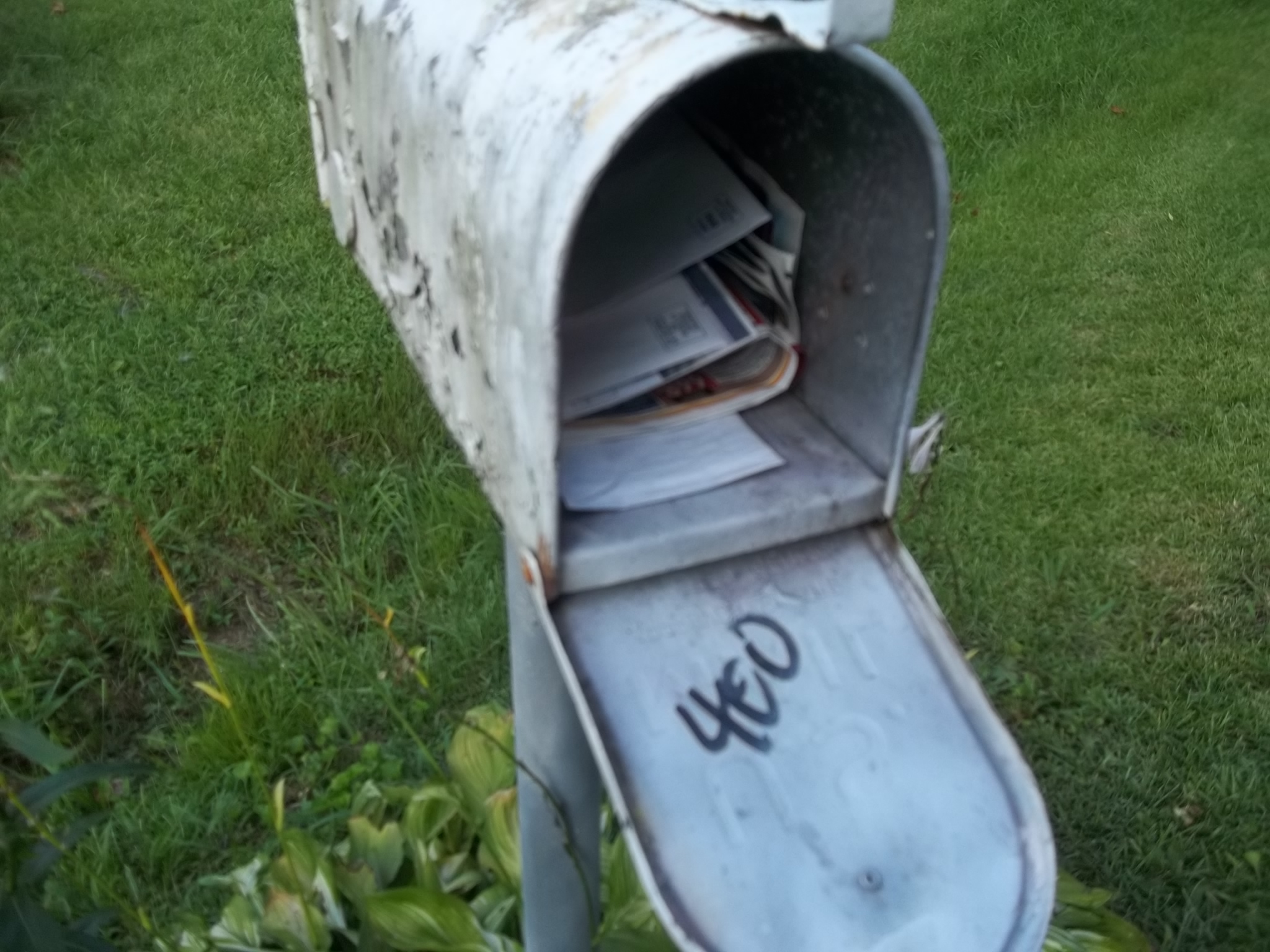 400 Co RD 1272, Vinemonjt, AL 35179 