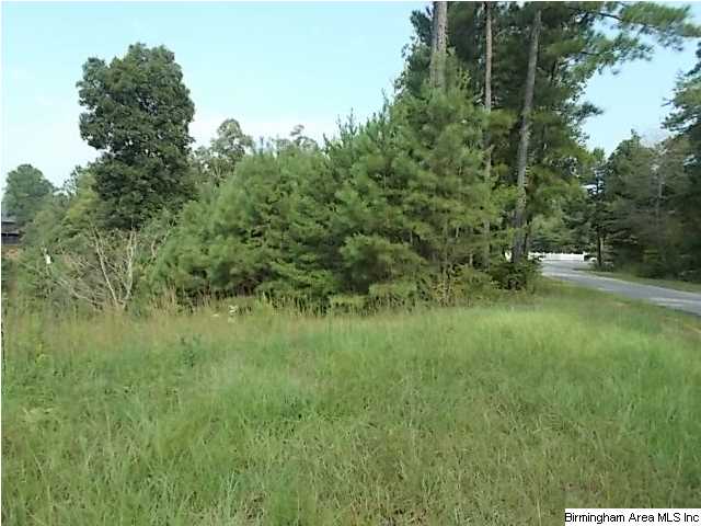 Turtle Dove Road, #18, Warrior, AL 35180 