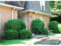 176 B Old Montgomery Hwy, Homewood, AL 35216 