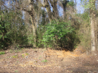 00 13th Ave E, Tuscaloosa, AL 35405 