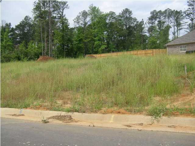 1 Julia Pearl Lane, Cottondale, AL 35453 