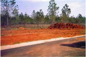 19 Eagle Cove Estates, Northport, AL 35475 