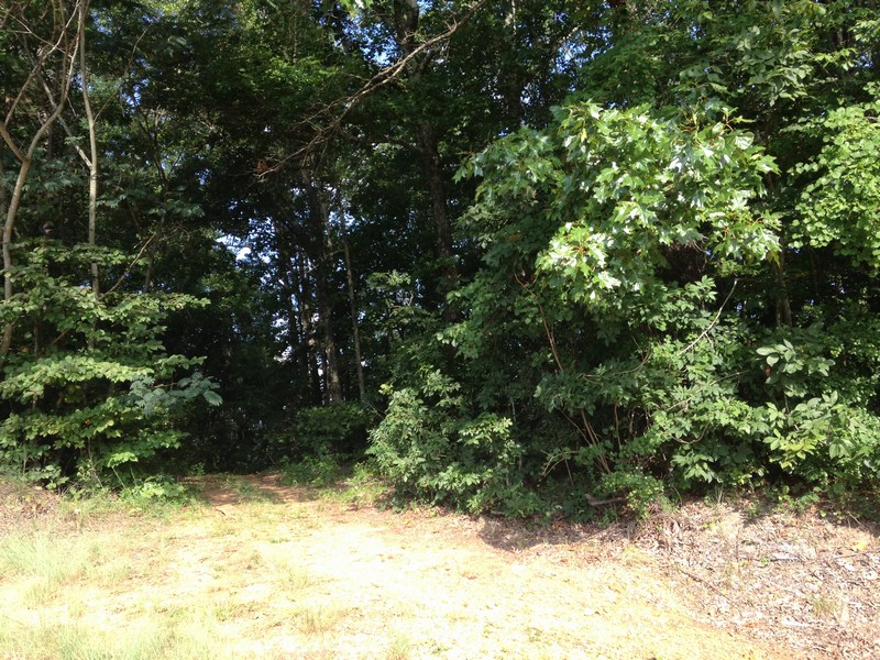 00 Misty Hills Lot #9, Vance, AL 35490 
