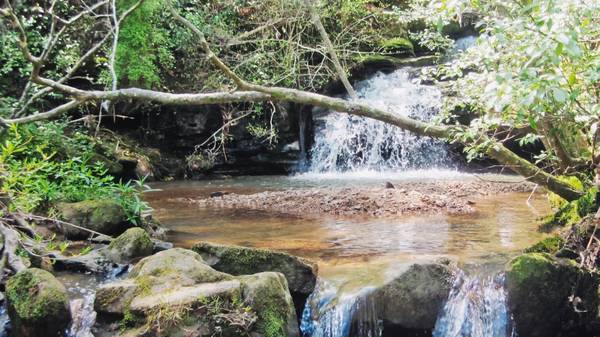 400 old hwy 57, Hamilton, AL 35570 