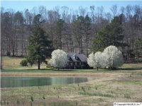 4533 Day Road, Decatur, AL 35603 