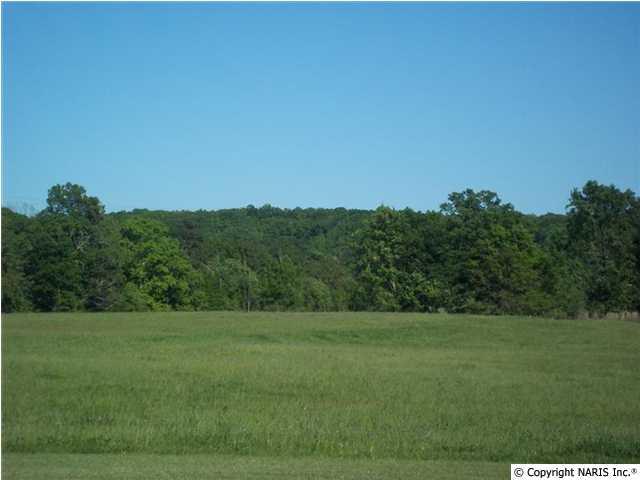 2911 Old Moulton Road, Decatur, AL 35603 