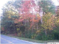 3746 WEST CHAPEL HILL ROAD, Decatur, AL 35603 