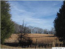 0 MUD TAVERN ROAD, Decatur, AL 35603 