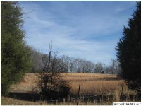 0 MUD TAVERN ROAD, Decatur, AL 35603 