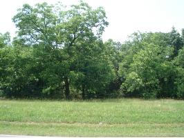 5625 Indian Hills Road, Decatur, AL 35603 