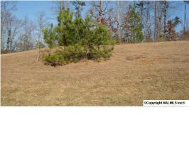Lot 10 Chula Vista Ridge Drive, Decatur, AL 35603 