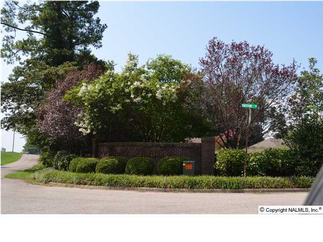 Hatchie Lane Lot #2, Athens, AL 35611 