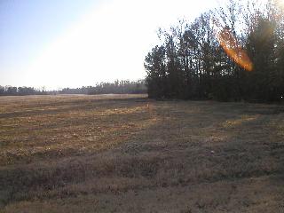 Sewell Road Lot 7, Athens, AL 35611 