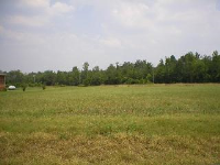 Sewell Road Lot 6, Athens, AL 35611 