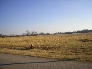 Sewell Road Lot 12, Athens, AL 35611 