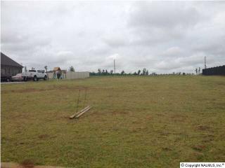 14818 Birchbark Street, Athens, AL 35613 