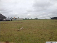14818 Birchbark Street, Athens, AL 35613 