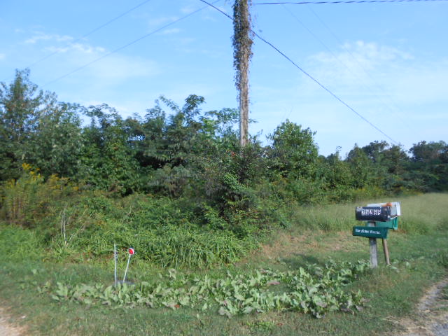 SAND SPRINGS RD LOT 1, Athens, AL 35613 