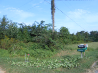 SAND SPRINGS RD LOT 1, Athens, AL 35613 