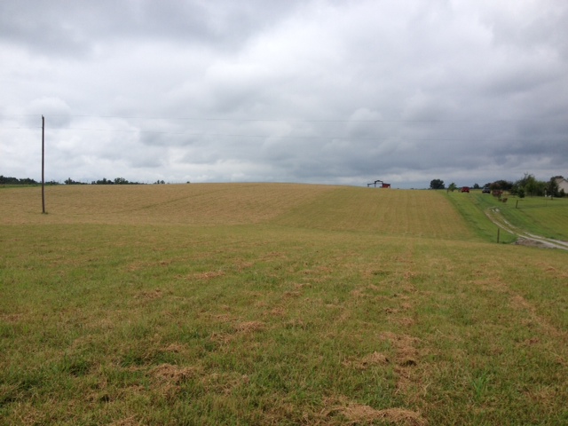 6314 M D ROSE ROAD, Athens, AL 35614 