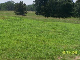 8760 Franklin Road, Athens, AL 35614 