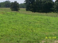 8760 Franklin Road, Athens, AL 35614 