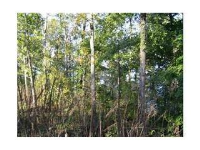 204 William Dalton St., Cherokee, AL 35616 