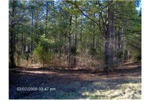 28547 Veto Road, Elkmont, AL 35620 