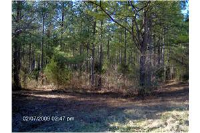 28547 Veto Road, Elkmont, AL 35620 