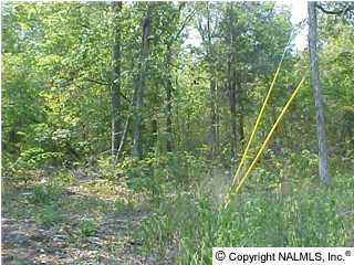 463 Hardin Road, Falkvile, AL 35622 