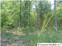 463 Hardin Road, Falkvile, AL 35622 