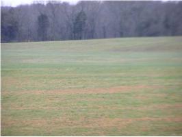 0 CR 30, Florence, AL 35630 