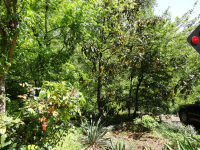 Lot 7 WInchester Rd., Florence, AL 35630 