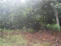 579 Aubrey Drive, Forence, AL 35631 