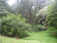 527 Aubrey Drive, Florence, AL 35631 