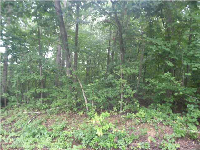 431 Aubrey Drive, Florence, AL 35631 