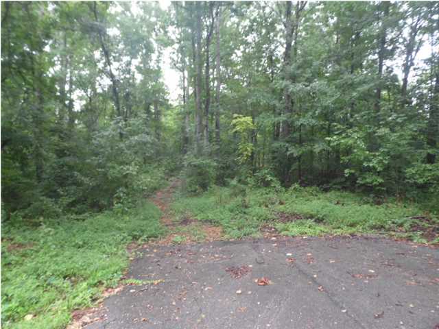 432 Wayne Drive, Florence, AL 35631 