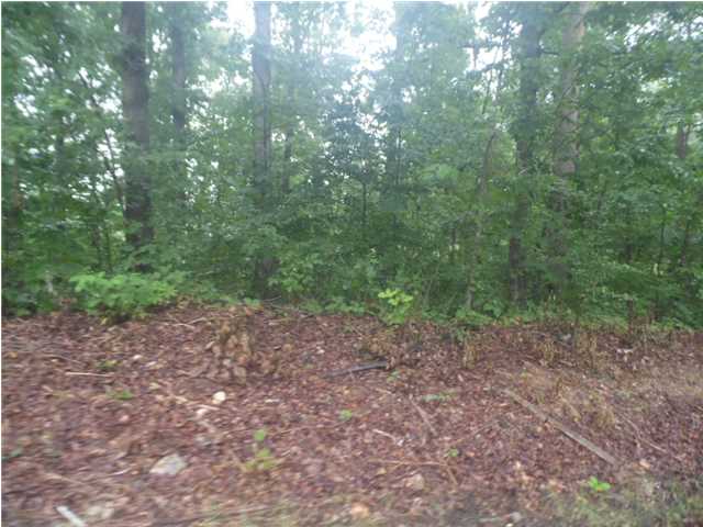 120 Oakshores Circle, Florence, AL 35633 