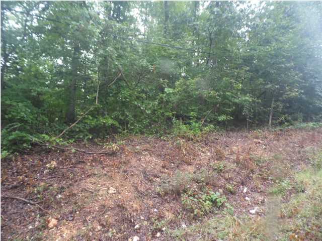 86 Oakshores Circle, Florence, AL 35633 