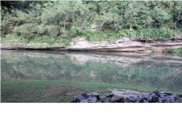 690 Valley Crest Dr., Florence, AL 35634 