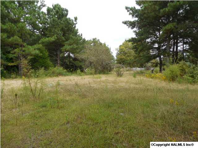 2088 Vaughn Bridge Road, Hartselle, AL 35640 