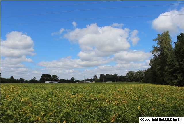 Hwy. 36, Hartselle, AL 35640 