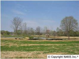 3 Oak Ridge Lane, Hartselle, AL 35640 